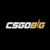 CSGOBig